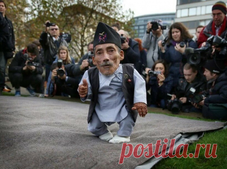 Самые невероятные люди в мире | Big Facts | Яндекс Дзен