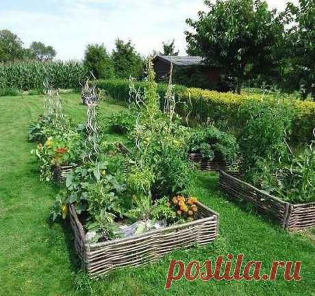 Вариант приподнятой грядки