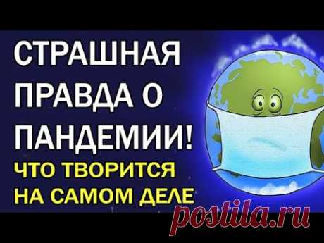 ЗА ТАКОЕ СУДИТЬ НАДО! Это важно понять всем, пока не накрыло второй волной… Алексей Кунгуров