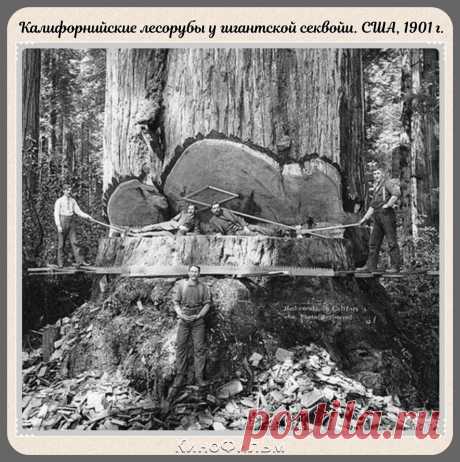Редкие фотографии с моментами прошлого, на которых история кажется ещё интересней - #39 | КиноФильм | Яндекс Дзен