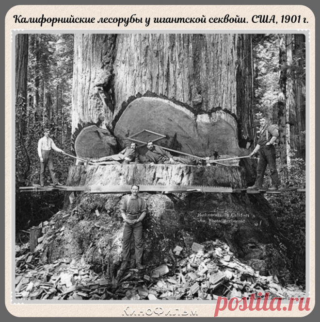 Редкие фотографии с моментами прошлого, на которых история кажется ещё интересней - #39 | КиноФильм | Яндекс Дзен