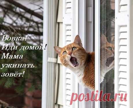 ГЛАШАТАЙ