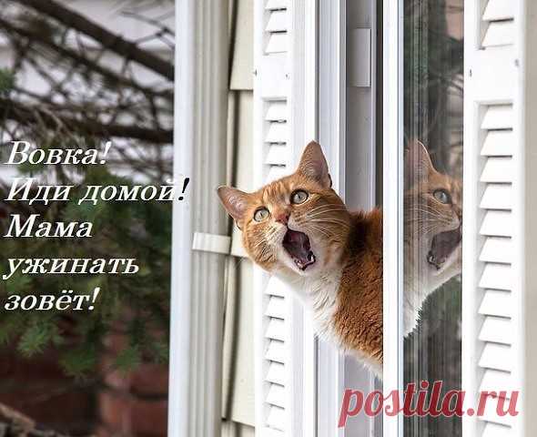 ГЛАШАТАЙ