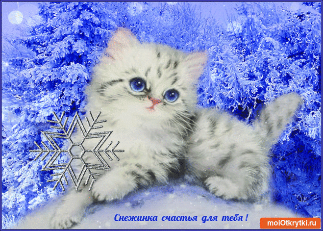 1915.gif (700×500)
