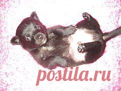 я еще мелкий