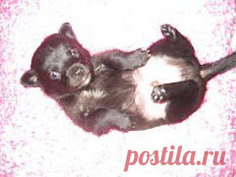 я еще мелкий