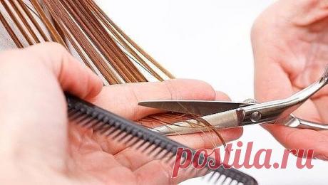 Приметы на каждый день