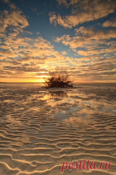 wowtastic-nature:

”