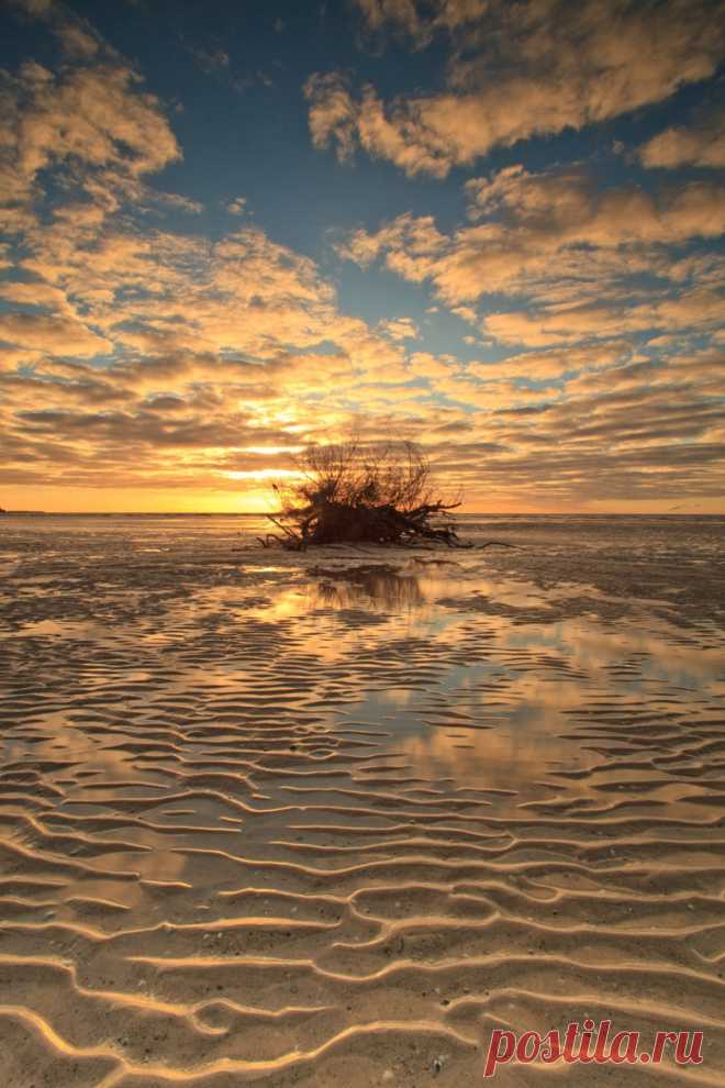 wowtastic-nature:

”