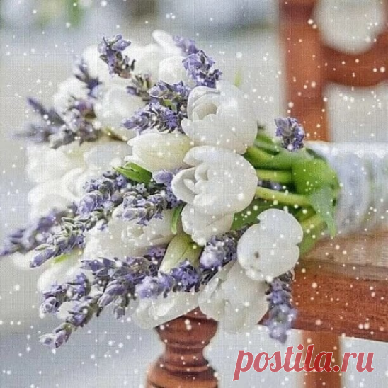 Настроение.. 🌷