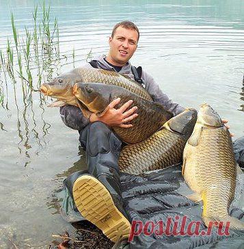 озеро Балхаш.....))))Вот это рыбалка!!!
Геннадий Когай