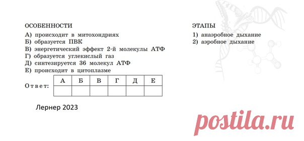 Ещё порция бредятины от Лернера.
Вообще анаэробное дыхание ВНЯТНО в школьных учебниках не разжевано никак от слова 