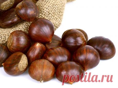 Каштаны для гурманов. Деликатес поспел! | Моя Околица