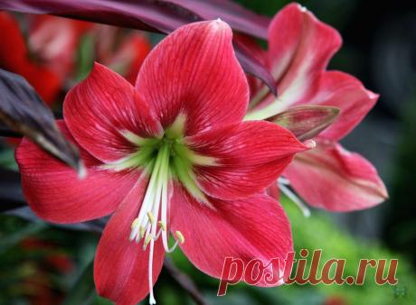 h-1800.jpg (1280×941)