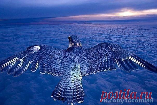 iGTPxybc8PE.jpg (604×403)