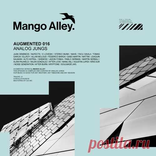 VA – Augmented 016 / Analog Jungs [ALLEYAUG016]