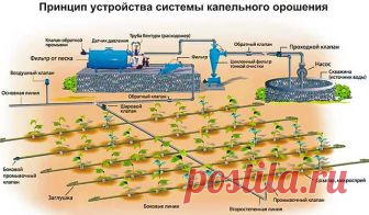 Капельный полив своими руками для дачи без затрат сделай сам Капельный полив давно применяется многими садоводами в теплицах и приусадебных участках. В данной статье я предлагаю вам ещё несколько вариантов устройства системы автоматического полива для дачи, …
