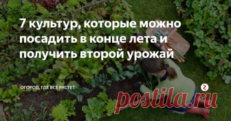 7 культур, которые можно посадить в конце лета и получить второй урожай Климат наших широт привел местных огородников к твердому убеждению: сеять нужно весной, а дары земли принимать летом, ближе к осени. Некоторые жители Евразии даже не догадываются о прекрасной возможности получить второй урожай.
Поговорим о том, как это сделать, и что за культуры годятся для такой цели.
В процессе постепенного сбора урожая остаются пустынные участки земли, которые благополучно зара