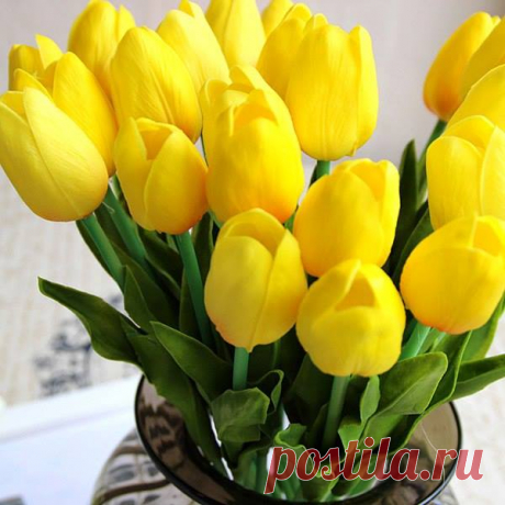 (5) Facebook