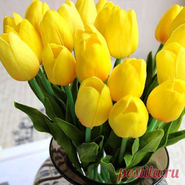(5) Facebook