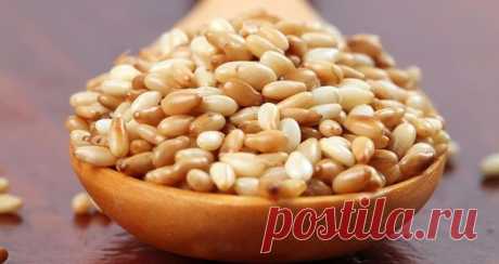 КУНЖУТ - НЕЗАМЕНИМЫЙ ДЛЯ ДОЛГОЛЕТИЯ ПРОДУКТ