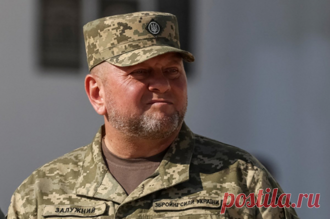 В ВСУ зреет бунт? Залужный может стать знаменем военной оппозиции. Эксперт: Залужный уже «нагулял» серьезный политический вес и вполне может стать неким знаменем реальной оппозиции Зеленскому, включая даже и военную.