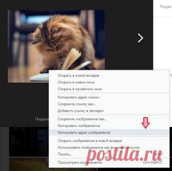 Оформляем блог (ссылки, картинки - без кода) - БлогНаталья Изотова