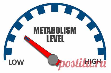 МЕТАБОЛИЗМ: Что это такое и как его улучшить