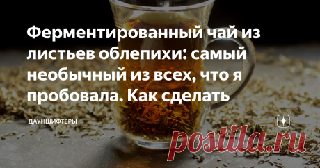 Ферментированный чай из листьев облепихи: самый необычный из всех, что я пробовала. Как сделать Очень долго собиралась сделать этот чай, и вот наконец сделала.
Это самый необычный из моих самодельных чаев.
Собрала листья облепихи. На концах колючих старых веток каждый год отрастают молодые побеги, они без колючек. Вот их-то я и взяла для чая.