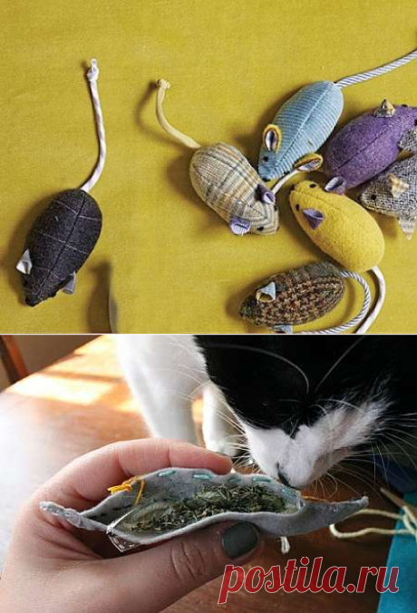 Игрушка для кота своими руками - делаем своими руками