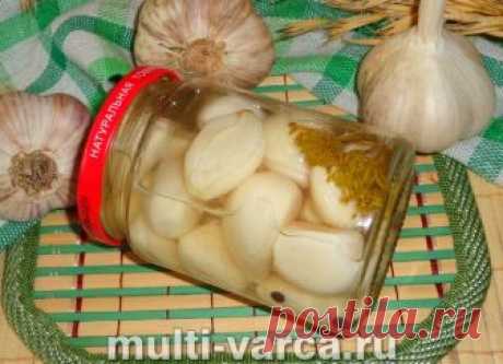 Маринованный чеснок на зиму