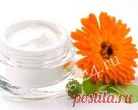 Травы для омоложения кожи | Искусство быть женщиной