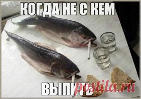 (20+) Facebook