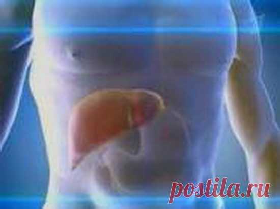 Негативные эмоции прячутся в печени / Домоседы