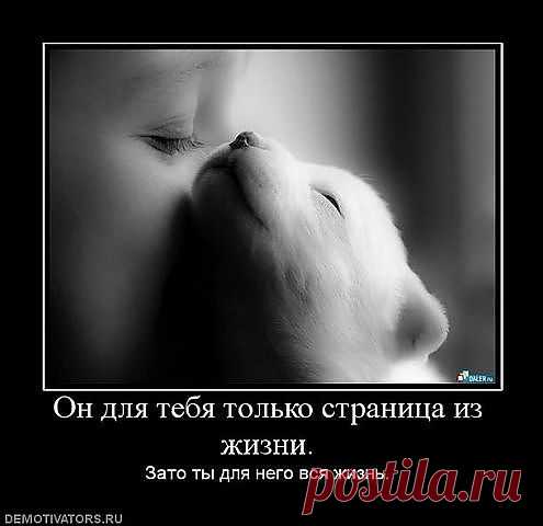 Это и есть любовь