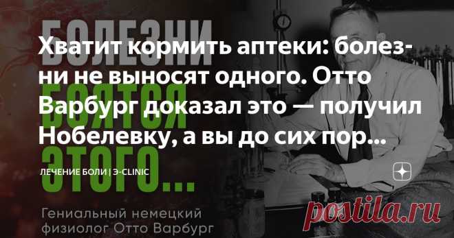 Хватит кормить аптеки: болезни не выносят одного. Отто Варбург доказал это — получил Нобелевку, а вы до сих пор разоряетесь на таблетки Статья автора «Лечение боли» в Дзене ✍: Вы когда-нибудь задумывались, почему одни люди болеют постоянно, а другие — практически никогда?