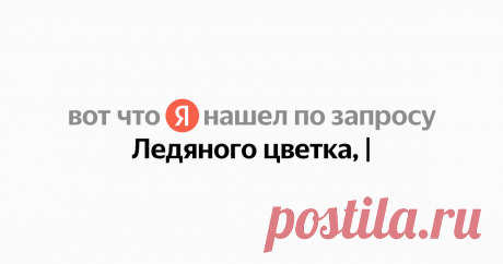 Ледяного цветка, Найдётся всё