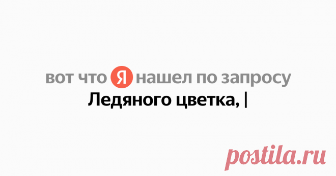 Ледяного цветка, Найдётся всё
