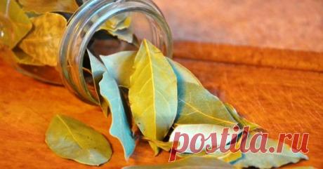 Свойства подожженного лаврового листа, о которых вы даже не догадывались