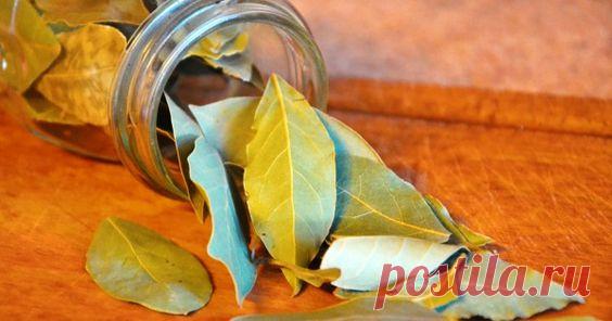 Свойства подожженного лаврового листа, о которых вы даже не догадывались