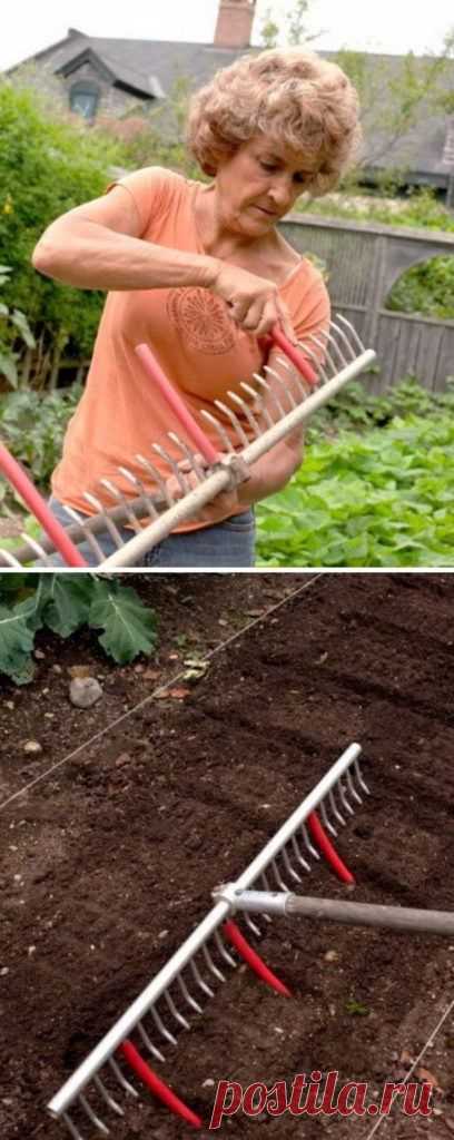 26 Great Ideas That Every Gardening Lover Should Know