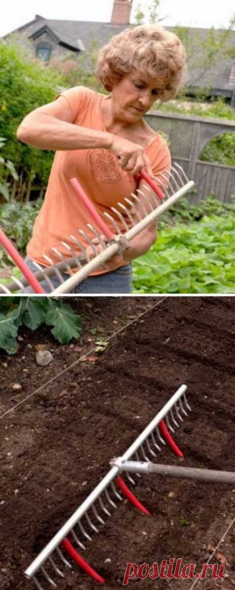 26 Great Ideas That Every Gardening Lover Should Know