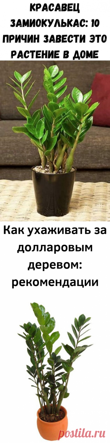 (294) Pinterest