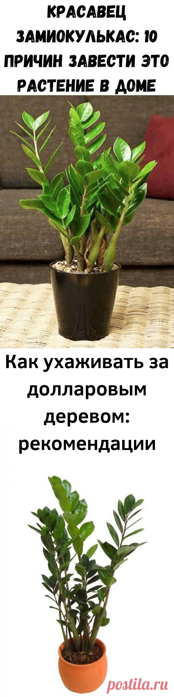 (294) Pinterest