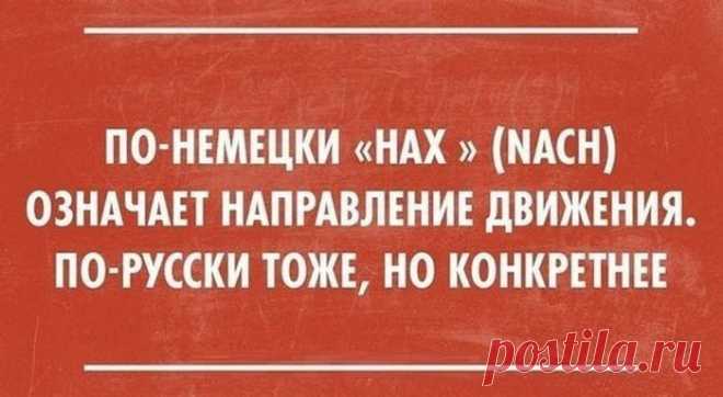 25 острых жизненных шуток