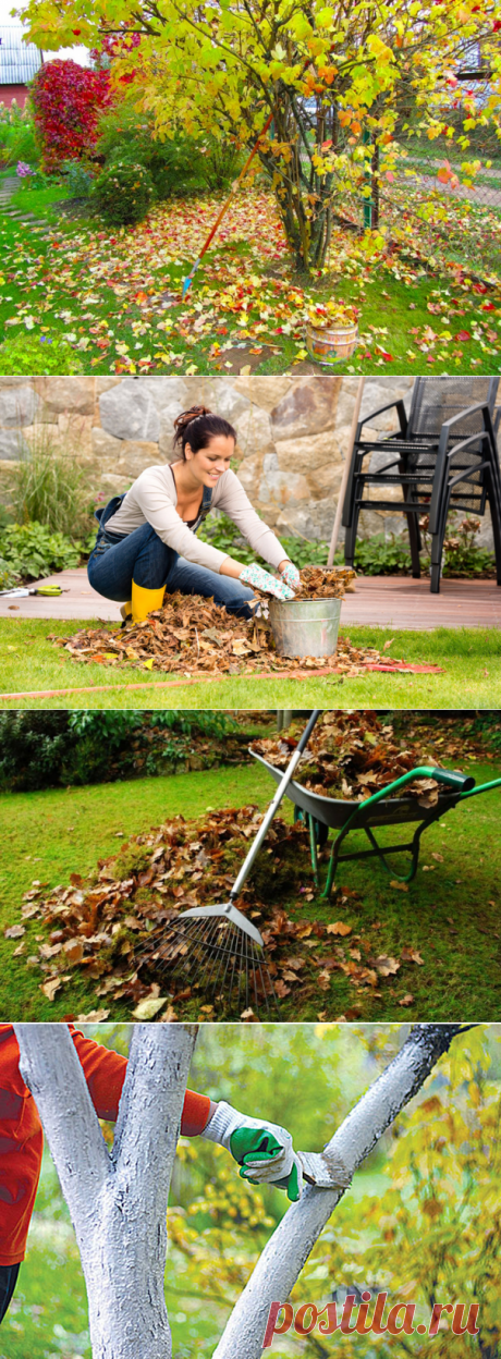 Подготовка дачного участка к зиме