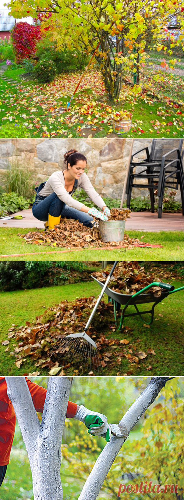 Подготовка дачного участка к зиме