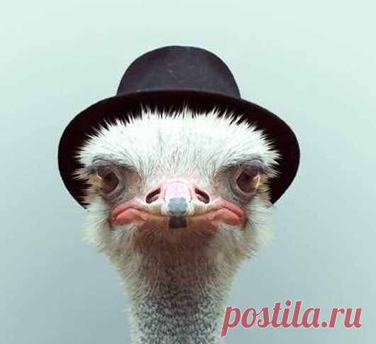 Читать всем, кто обижен! Один из способов работы с обидой – это ее усиление, доведение до крайности и в конечном счете до абсурда, вплоть до исчезновения