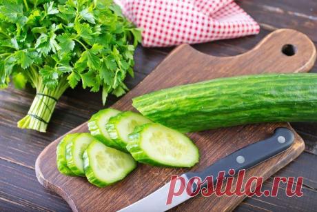 Типы огурцов – какой подходит именно вам
