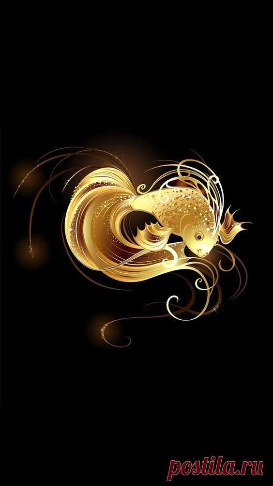 (1) Pinterest